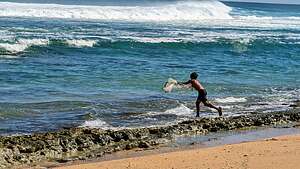 Traditional Hawaiian net fishing